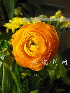 法院判网吧承担违约责任 法院判网吧承担违约责任
