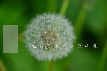 法院判罚减轻未获核准 法院判罚减轻未获核准