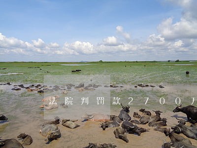 法院判罚款2700万欧元 法院判罚款2700万欧元