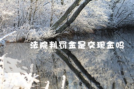 法院判罚金是交现金吗 法院判罚金是交现金吗