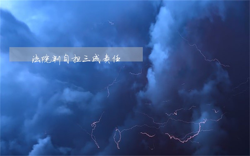 法院判自担三成责任 法院判自担三成责任