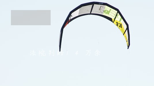 法院判赔14万余 法院判赔14万余