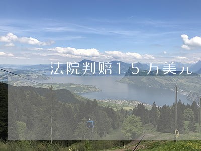 法院判赔15万美元 法院判赔15万美元