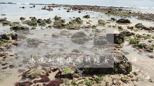法院判赔偿没钱赔会怎么样