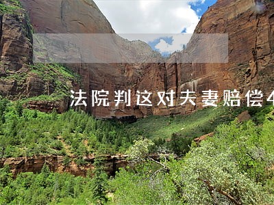 法院判这对夫妻赔偿4000元 法院判这对夫妻赔偿4000元