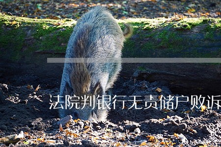 法院判银行无责储户败诉 法院判银行无责储户败诉