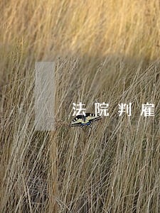 法院判雇主返还 法院判雇主返还