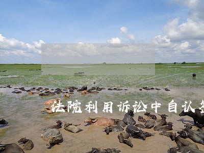 法院利用诉讼中自认签名作判 法院利用诉讼中自认签名作判