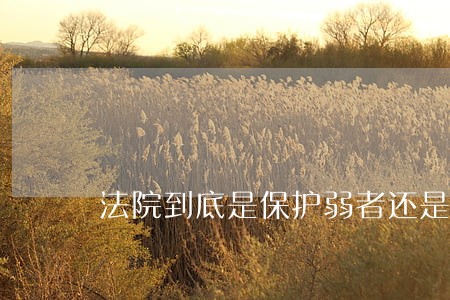 法院到底是保护弱者还是维护强者