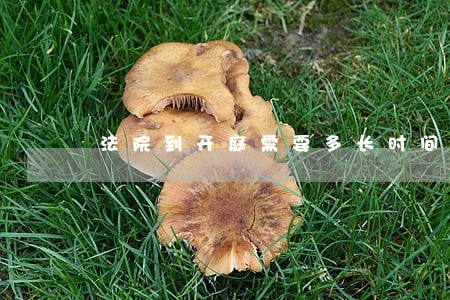 法院到开庭需要多长时间