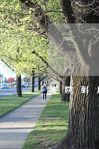 法院到房管局查询房产信息 法院到房管局查询房产信息