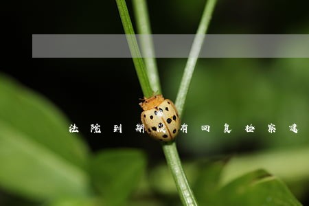 法院到期没有回复检察建议 法院到期没有回复检察建议