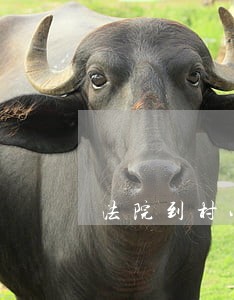 法院到村小学捐赠物资仪式 法院到村小学捐赠物资仪式