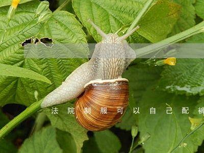 法院制服可以自己配裤子穿吗 法院制服可以自己配裤子穿吗