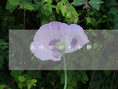 法院劝你先冷静 法院劝你先冷静