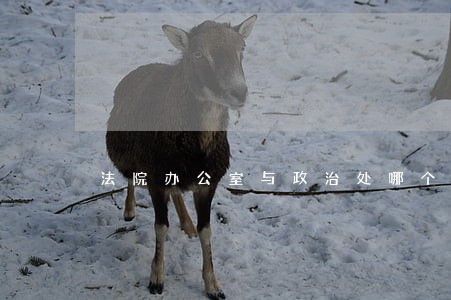 法院办公室与政治处哪个好 法院办公室与政治处哪个好