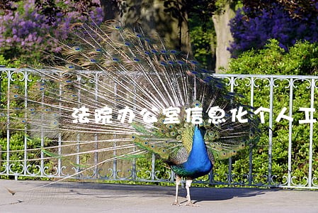 法院办公室信息化个人工作总结 法院办公室信息化个人工作总结