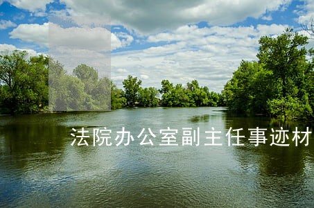 法院办公室副主任事迹材料