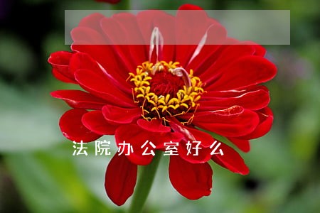 法院办公室好么 法院办公室好么