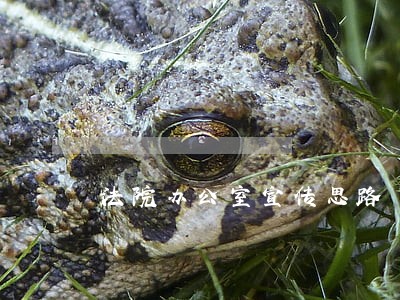 法院办公室宣传思路