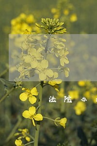 法院办公室活好不好干