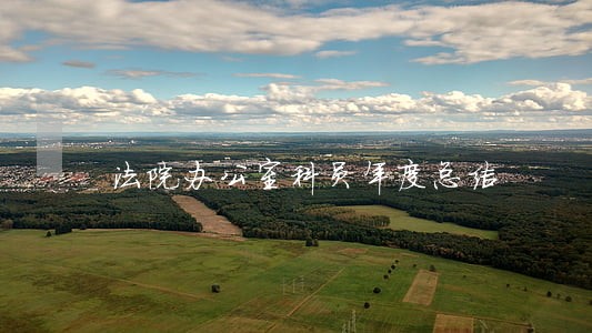法院办公室科员年度总结