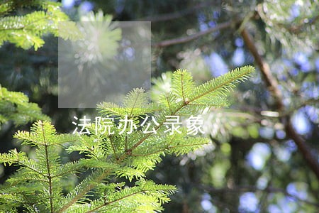 法院办公录象 法院办公录象