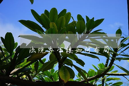 法院办公楼如何布局