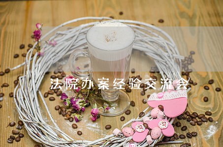 法院办案经验交流会 法院办案经验交流会