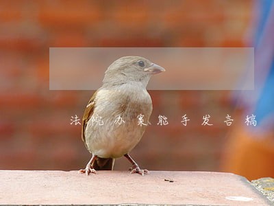 法院办案能手发言稿 法院办案能手发言稿