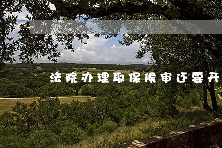 法院办理取保候审还要开庭吗 法院办理取保候审还要开庭吗