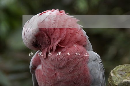 法院办理土地过户 法院办理土地过户
