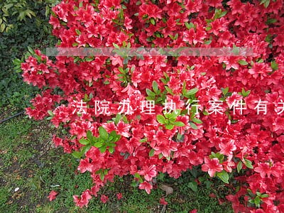 法院办理执行案件有关企业的
