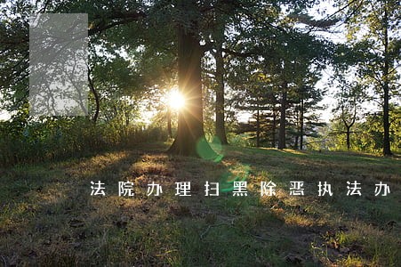 法院办理扫黑除恶执法办案标准 法院办理扫黑除恶执法办案标准