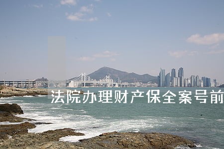 法院办理财产保全案号前后不一
