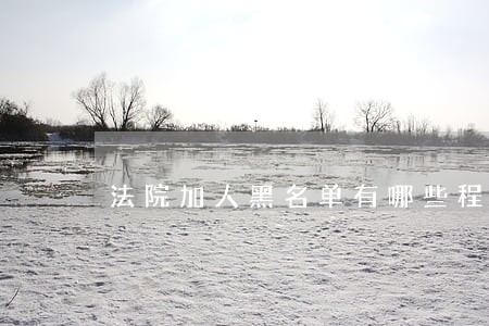 法院加人黑名单有哪些程予 法院加人黑名单有哪些程予