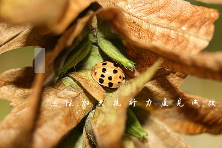 法院加大执行力度见成效 法院加大执行力度见成效