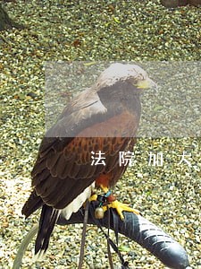 法院加大调解工作 法院加大调解工作