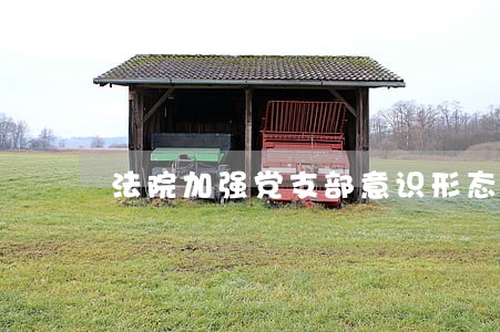 法院加强党支部意识形态工作