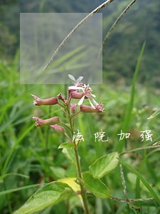 法院加强环境法律宣传 法院加强环境法律宣传