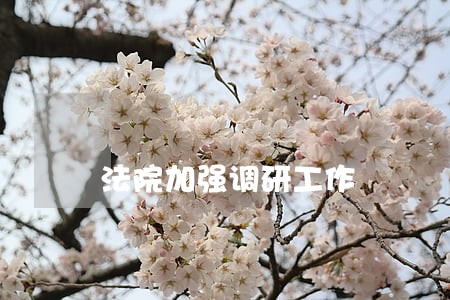 法院加强调研工作 法院加强调研工作