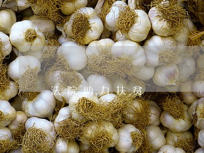 法院助力扶贫