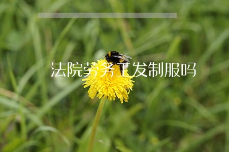 法院劳务工发制服吗 法院劳务工发制服吗