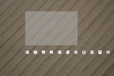 法院劳务派遣书记员是什么意思
