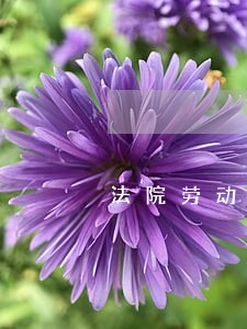 法院劳动合同制书记员是什么 法院劳动合同制书记员是什么