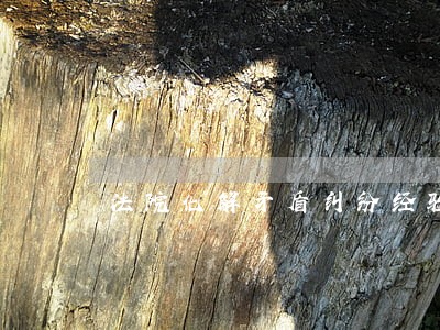 法院化解矛盾纠纷经验