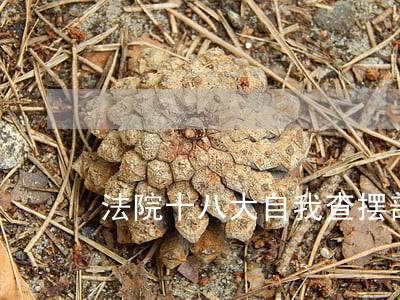 法院十八大自我查摆剖析材料 法院十八大自我查摆剖析材料