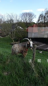 法院协助执行水电过户问题 法院协助执行水电过户问题