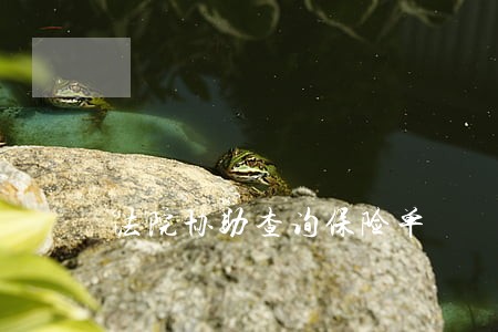 法院协助查询保险单 法院协助查询保险单