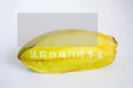 法院协商只还本金 法院协商只还本金